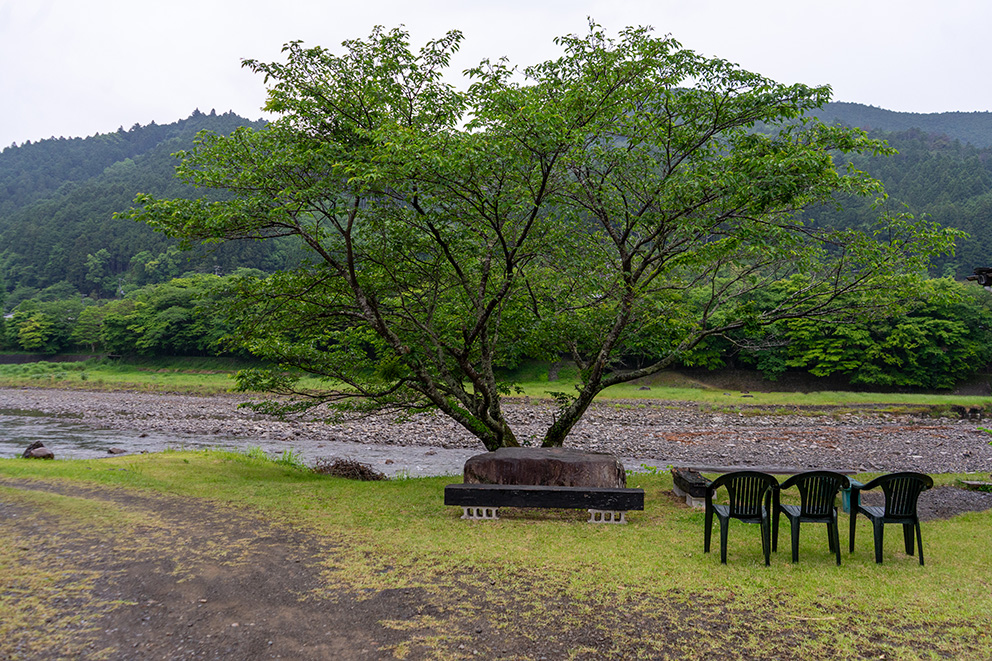 Riverside view